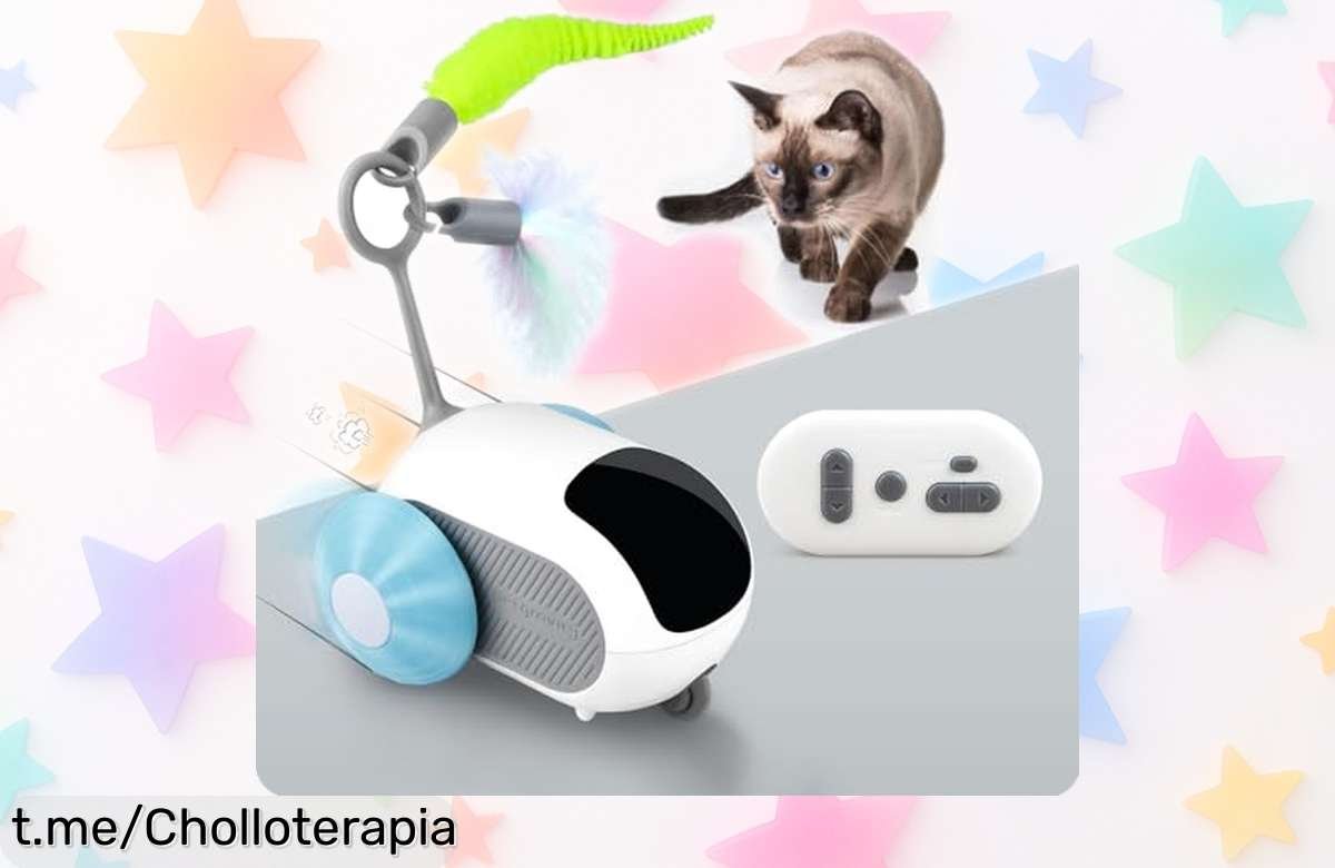 Juguete interactivo TOHDNC para gatos con mando a distancia: precio loco en diversión, ¡tu amigo peludo no podrá resistirse al juego! ¡Hazlo tuyo ahora mismo!