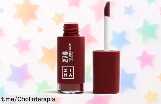 Labial líquido mate 3INA The Longwear Lipstick 276: el color intenso y duradero que tus labios merecen a un precio de locura, ¡no te pierdas este super chollo!