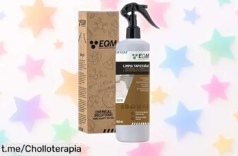 Limpiador de tapicerías EQM ECO113 a un precio regalado, elimina manchas y olores en segundos. ¡No dejes pasar esta oferta que tu coche merece!