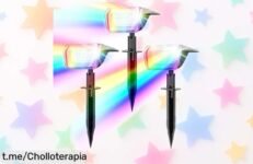 Luces solares para jardín Linkind en pack de 3, cambian de color y están ahora a precio loco: dale vida a tu espacio exterior antes de que se agoten las unidades. ¡Hazlo ya!