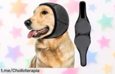 Orejeras protectoras para perros grandes que bloquean el ruido y calman en viajes, ¡ofertón a precio loco! Tu peludo merece disfrutar sin estrés – no dejes pasar esta oportunidad.