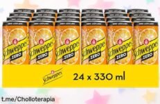 Pack de 24 latas de Schweppes Naranja Zero, ¡precio loco para disfrutar burbujas sin azúcar! No ayudes a que ese sutil sabor se escape. ¡Hazlo tuyo ya!