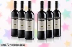 Pack de 6 botellas de Sant'Orsola Nero d'Avola a precio loco, ideal para tus cenas con carnes y quesos; disfruta del mejor vino sin vaciar la cartera. ¡No te lo pierdas!