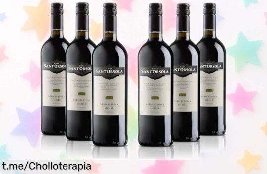 Pack de 6 botellas de Sant'Orsola Nero d'Avola a precio loco, ideal para tus cenas con carnes y quesos; disfruta del mejor vino sin vaciar la cartera. ¡No te lo pierdas!