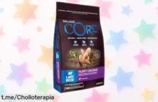 Pienso natural Wellness Core Original para cachorros grandes, un ofertón que cuida a tu peludo desde el primer día y ahora a precio de ganga, ¡no te lo pierdas!