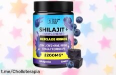 Potente gominolas energéticas Shilajit con hongos del Himalaya: impulsan tu mente y defensas a un precio increíble, ¡hazte con ellas antes de que se acaben!