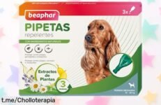 Protección total para tu perro: Pipetas Beaphar, 3 meses libre de pulgas y garrapatas ¡Aprovecha este chollazo y cuida a tu peludo sin preocupaciones!