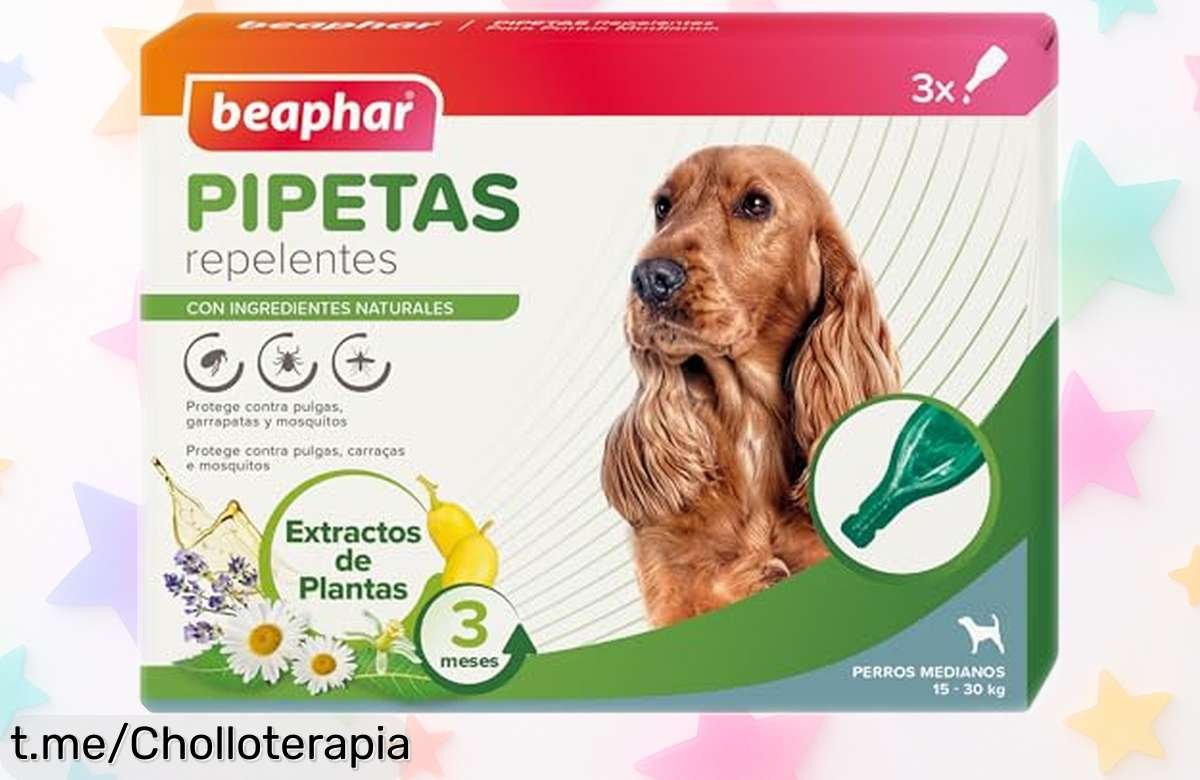 Protección total para tu perro: Pipetas Beaphar, 3 meses libre de pulgas y garrapatas ¡Aprovecha este chollazo y cuida a tu peludo sin preocupaciones!