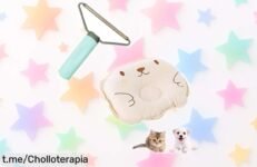 Quita pelos para perros y gatos que arrasa en una pasada, ¡Lleva el tuyo ahora a precio regalado y dale un respiro a tu sofá!