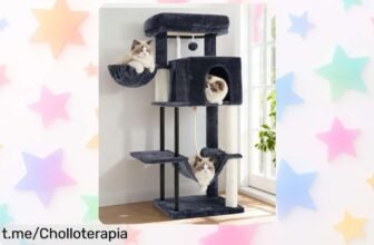 Rascador para gatos de interior Gitelsnour GCT004SG, el super chollo que hará que tu felino juegue sin parar con su hamaca y cuerda, no lo dejes escapar ¡tu gatito te lo agradecerá!