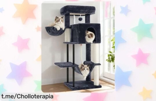 Rascador para gatos de interior Gitelsnour GCT004SG, el super chollo que hará que tu felino juegue sin parar con su hamaca y cuerda, no lo dejes escapar ¡tu gatito te lo agradecerá!