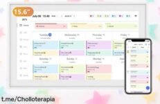 Tablet Calendario TABWEE P15 de 15,6” con planificador incluido a precio loco para que toda la familia se organice fácil y divertido; ¡aprovecha esta oportunidad única ya!