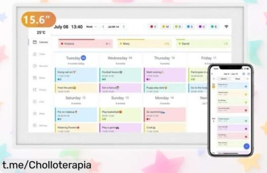 Tablet calendario Tabwee P15 de 15,6” a un precio muy bajo: organiza tu vida y crea recuerdos inolvidables para toda la familia. No dejes pasar esta locura de oferta.
