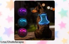 Arnés luminoso para perros MASBRILL: ¡Haz que tu peludo brille y sea visible a 500 metros! Precio rebajado, no dejes pasar esta oportunidad única.