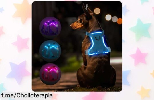 Arnés luminoso para perros MASBRILL: ¡Haz que tu peludo brille y sea visible a 500 metros! Precio rebajado, no dejes pasar esta oportunidad única.