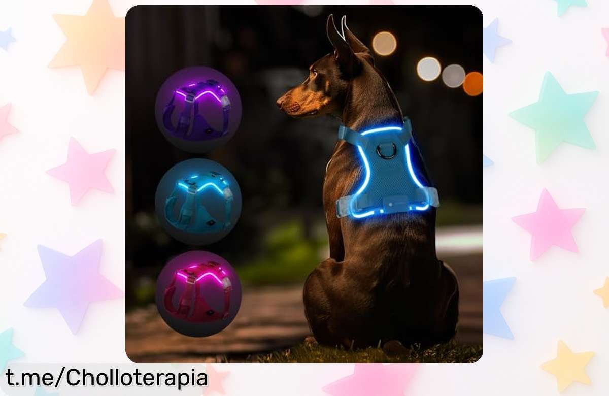 Arnés luminoso para perros MASBRILL: ¡Haz que tu peludo brille y sea visible a 500 metros! Precio rebajado, no dejes pasar esta oportunidad única.