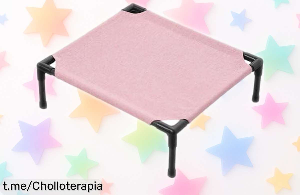 Cama elevada para perros y gatos FytStycale a un precio loco: confort y resistencia que tu mascota merece, ¡no dejes pasar esta oferta increíble!