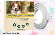 Collar antiparasitario para perros de última generación, con 12 meses de protección natural: ¡ofertón que cuida a tu mascota y evita sorpresas desagradables! No te lo pierdas.
