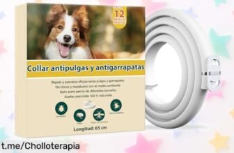 Collar antiparasitario para perros de última generación, con 12 meses de protección natural: ¡ofertón que cuida a tu mascota y evita sorpresas desagradables! No te lo pierdas.