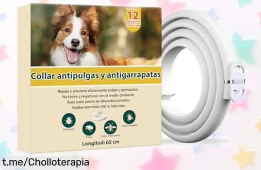 Collar antiparasitario para perros de última generación, con 12 meses de protección natural: ¡ofertón que cuida a tu mascota y evita sorpresas desagradables! No te lo pierdas.