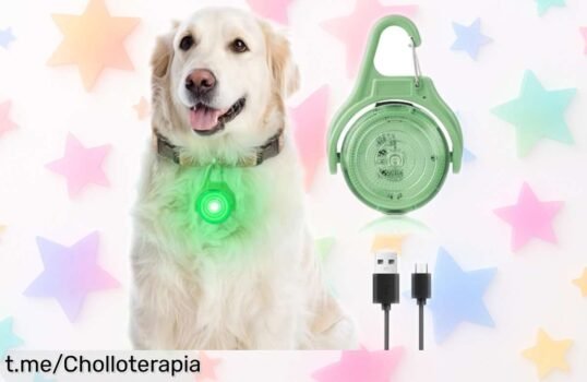 Collar con luz LED para perro AUAUY que brilla a 500 metros, ¡ofertón impermeable y con 4 modos! Tu mejor amigo siempre visible y seguro en sus paseos nocturnos.
