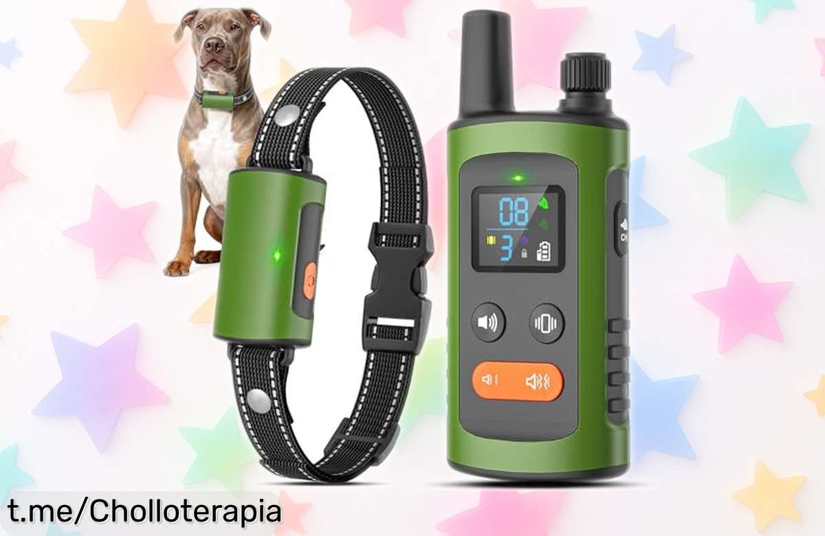 Collar de adiestramiento para perros con mando a 3200 ft: control casi mágico en un chollazo que no asusta ni se rinde ante el agua. ¡Corre y llévatelo antes que se acabe!