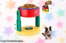 Cuenco para gatos Bootoow con base antideslizante: un comedero práctico y fácil de limpiar a un precio que te va a encantar, ¡Haz feliz a tu gato sin romper el banco!
