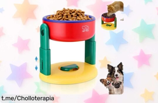 Cuenco para gatos Bootoow con base antideslizante: un comedero práctico y fácil de limpiar a un precio que te va a encantar, ¡Haz feliz a tu gato sin romper el banco!