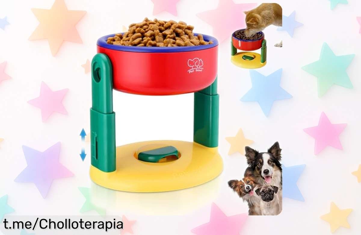 Cuenco para gatos Bootoow con base antideslizante: un comedero práctico y fácil de limpiar a un precio que te va a encantar, ¡Haz feliz a tu gato sin romper el banco!