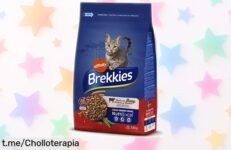 Delicioso pienso Brekkies para gatos con buey y verduras, ¡aprovecha este precio de escándalo que cuida su digestión y hazlo feliz hoy mismo!