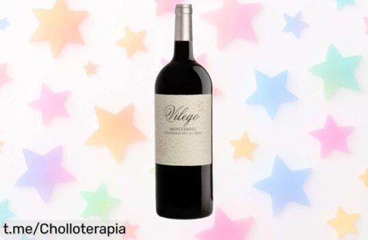 Descubre el vino tinto Vilego Mencía Magnum 1.5L, un sabor que engancha y perfecto para cualquier fiesta. ¡Precio rebajado y una sorpresa lista para regalar!