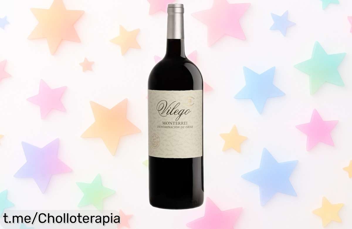 Descubre el vino tinto Vilego Mencía Magnum 1.5L, un sabor que engancha y perfecto para cualquier fiesta. ¡Precio rebajado y una sorpresa lista para regalar!