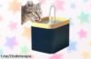 Dispensador de agua automática para mascotas que le facilita la vida a tu peludo: ¡Aprovecha este chollo y brinda frescura sin esfuerzo!