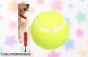 Divertida pelota de tenis gigante e inflable para perros, ¡súper ligera y a un precio regalado! Haz que tu mascota juegue sin parar, vente a por ella antes de que se agote.
