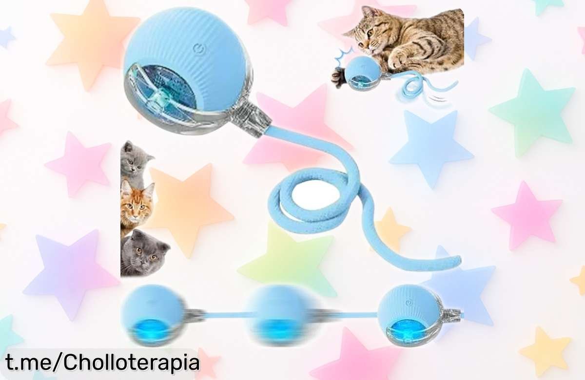 Divertida pelota interactiva SORNEICDR que se mueve sola, el súper chollo perfecto para mantener a tu mascota jugando y feliz por horas. ¡No dejes pasar esta oferta increíble!