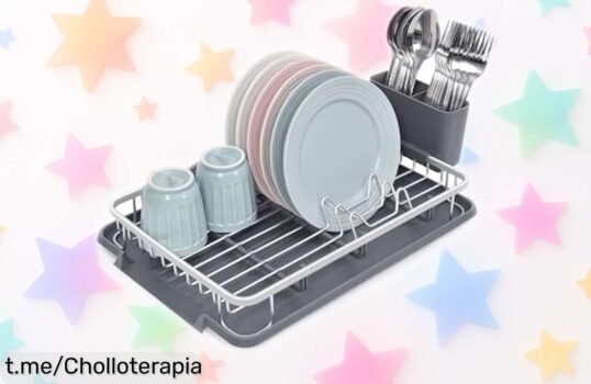 Escurreplatos Amig Ezzik para 8 platos con bandeja extraíble que hará brillar tu cocina, ¡no dejes pasar este ofertón que transforma tus lavados!