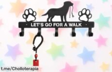 Ganchos decorativos de pared para perros y llaves que organizan con estilo ¡aprovecha el precio loco y pon cada cosa en su sitio ya!