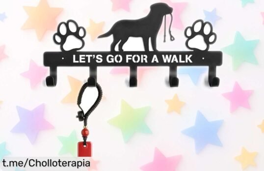 Ganchos decorativos de pared para perros y llaves que organizan con estilo ¡aprovecha el precio loco y pon cada cosa en su sitio ya!