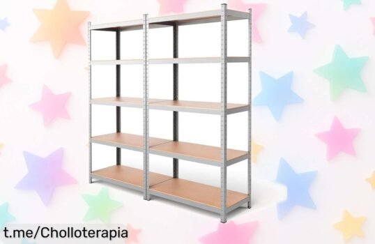 Increíble pack de dos estanterías metálicas galvanizadas para casa o garaje con un precio rebajado, ¡organiza tu espacio y dale vida a tu hogar!