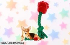Increíble peluche chirriador para perros, el compañero ideal que divierte y entretiene a tu cachorro mientras aguanta mordidas fuertes y hace su día mucho más feliz. ¡No lo dejes escapar!