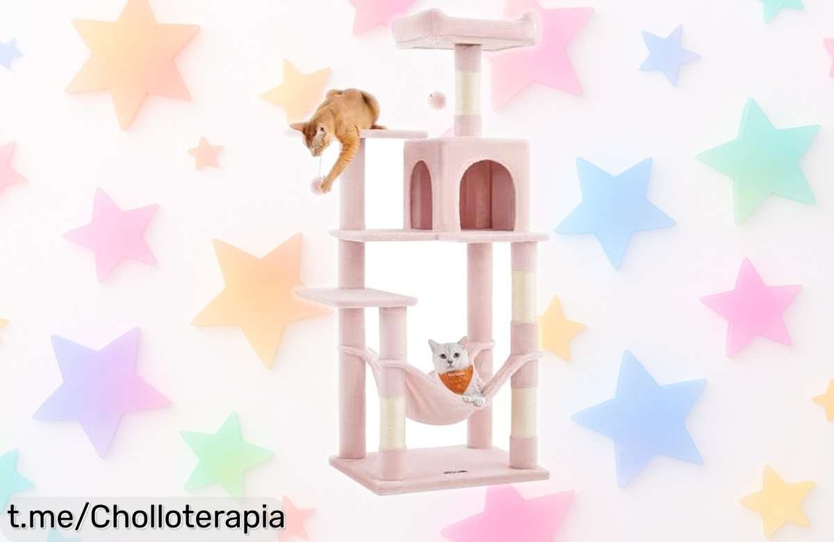 Increíble torre para gatos Feandrea con rascadores y hamaca a un precio de locura, ¡regálale felicidad y diversión a tu peludo antes que se acabe!