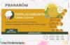 Increíbles pastillas para la garganta Pranarôm Aromaforce: alivia tu voz con sabor a miel y limón, ahora a un precio que es un regalo. ¡No dejes pasar esta oferta deliciosa!