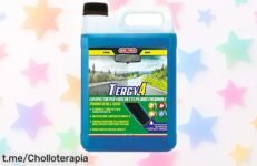 Líquido limpiaparabrisas MaFra Tergy 4, sin marcas y resistente al frío, ¡aprovecha este precio de ganga antes que se agote! Tu vehículo lo merece.