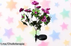 Mágicas luces solares de jardín Susiodeu para iluminar tu espacio; un chollo irresistible que transformará tus plantas en un espectáculo brillante y encantador.