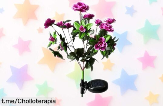 Mágicas luces solares de jardín Susiodeu para iluminar tu espacio; un chollo irresistible que transformará tus plantas en un espectáculo brillante y encantador.