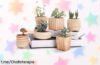Pack de 6 macetas SunE SEE con diseño madera, el rebajón que estabas esperando para dar un toque chic a tu hogar y abrazar la alegría de tener tus plantas favoritas en casa.