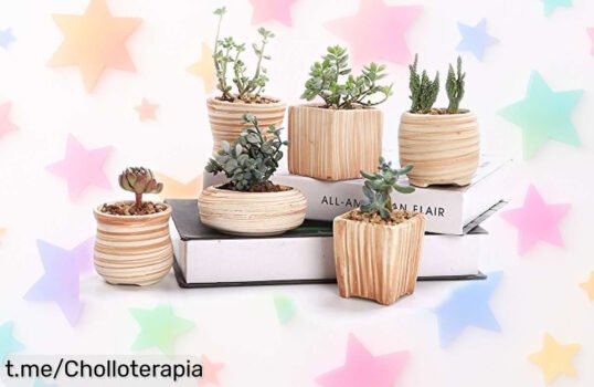 Pack de 6 macetas SunE SEE con diseño madera, el rebajón que estabas esperando para dar un toque chic a tu hogar y abrazar la alegría de tener tus plantas favoritas en casa.