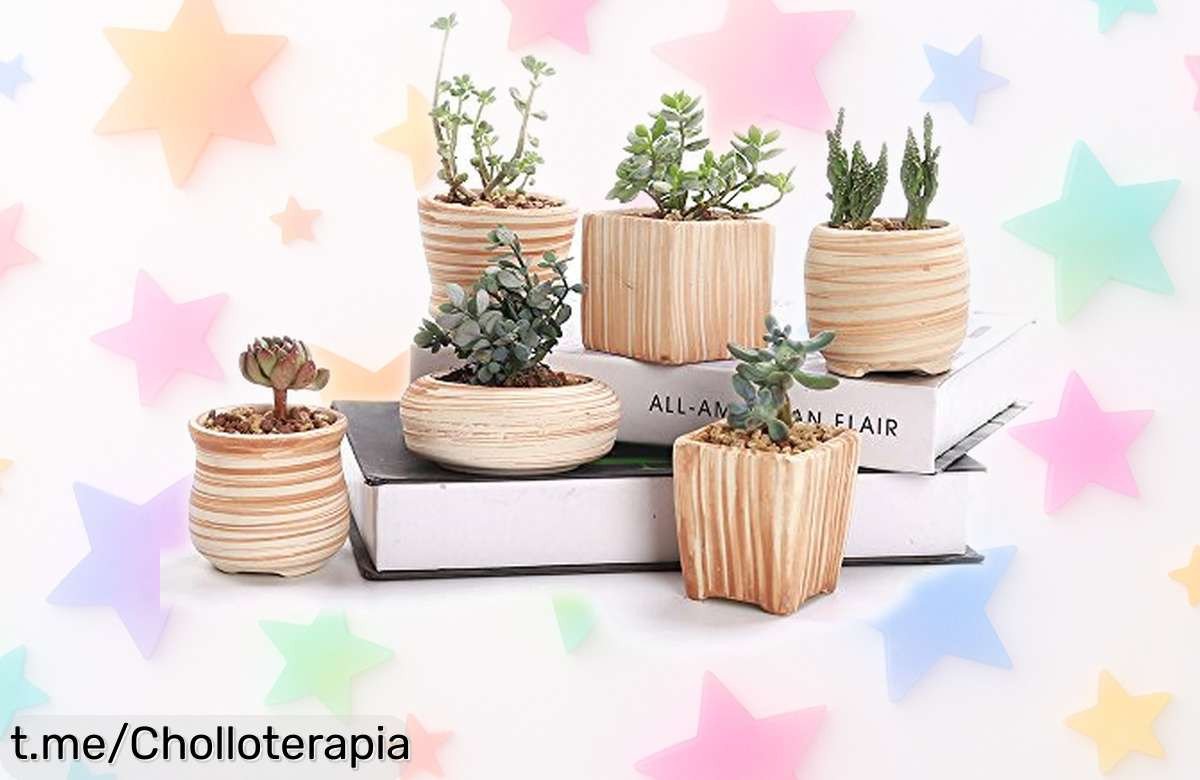 Pack de 6 macetas SunE SEE con diseño madera, el rebajón que estabas esperando para dar un toque chic a tu hogar y abrazar la alegría de tener tus plantas favoritas en casa.