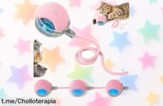 Pelota interactiva automática SORNEICDR para perros y gatos: ¡juguete 360° con sensor inteligente a precio tirado que los mantendrá felices por horas!