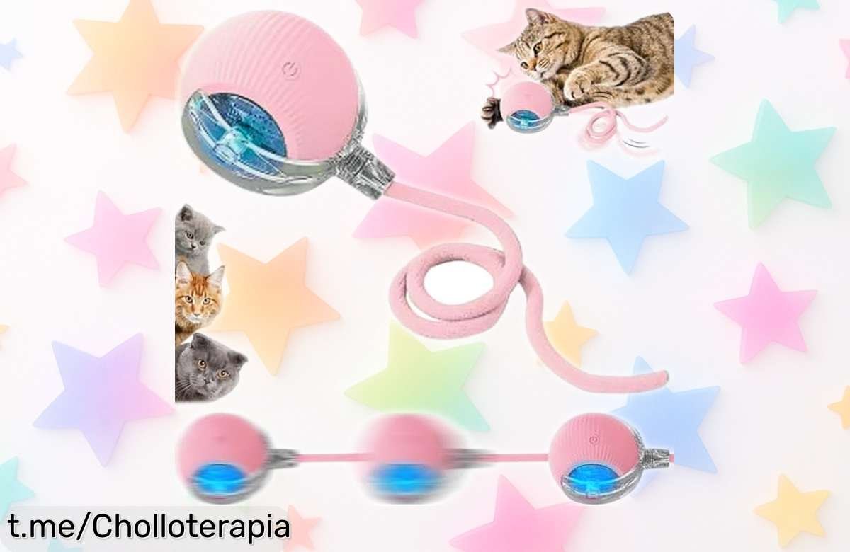 Pelota interactiva automática SORNEICDR para perros y gatos: ¡juguete 360° con sensor inteligente a precio tirado que los mantendrá felices por horas!
